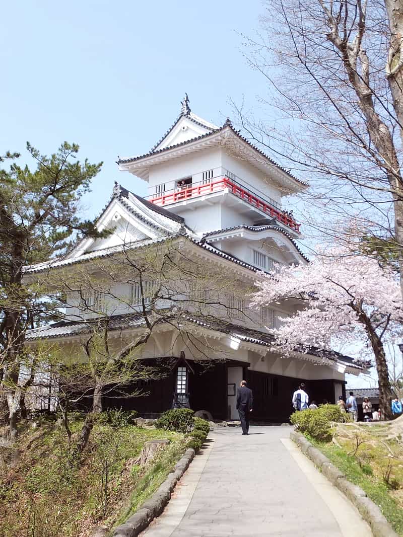 Akita